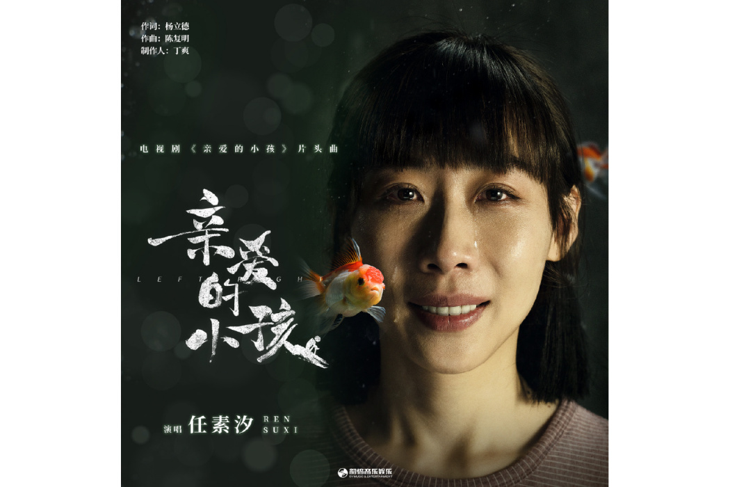 親愛的小孩(任素汐演唱的歌曲) 親愛的小孩(任素汐演唱的歌曲)