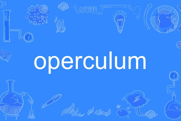operculum operculum