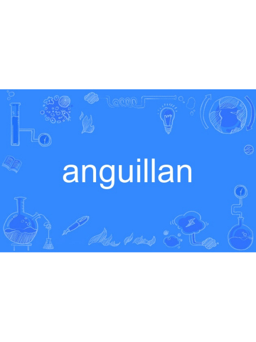 anguillan anguillan