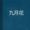九月花 九月花