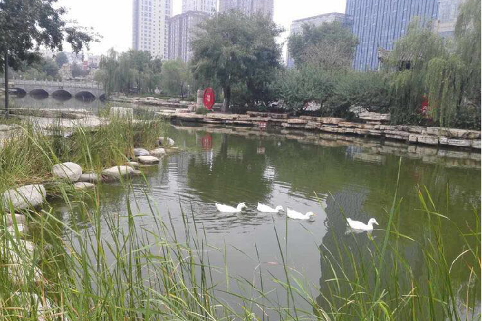 楨州公園 楨州公園