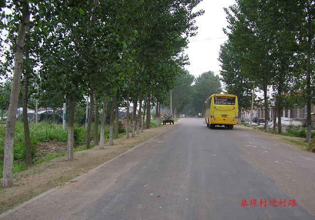 皋埠村 皋埠村