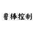魯棒控制 魯棒控制