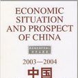 中國經濟形勢與展望：2003-2004