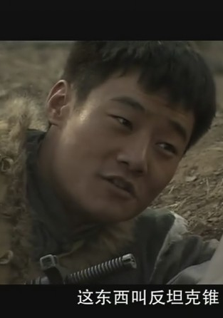 雪豹(2010年文章主演的電視劇)