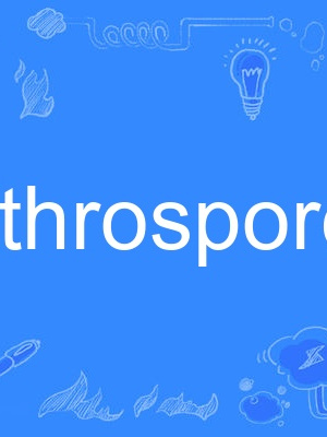 arthrospore arthrospore