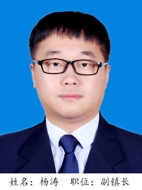 楊濤(建德市下涯鎮副鎮長、四級主任科員)