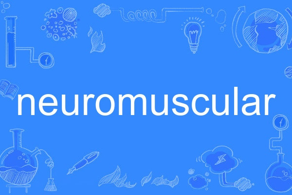 neuromuscular neuromuscular