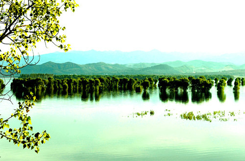 丹江濕地國家級自然保護區