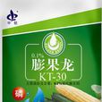 吡效隆 吡效隆