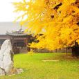 古觀音禪寺 古觀音禪寺