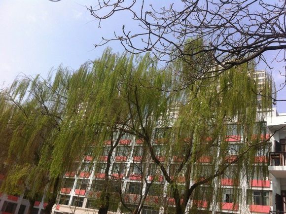 蘭鐵三中 蘭鐵三中
