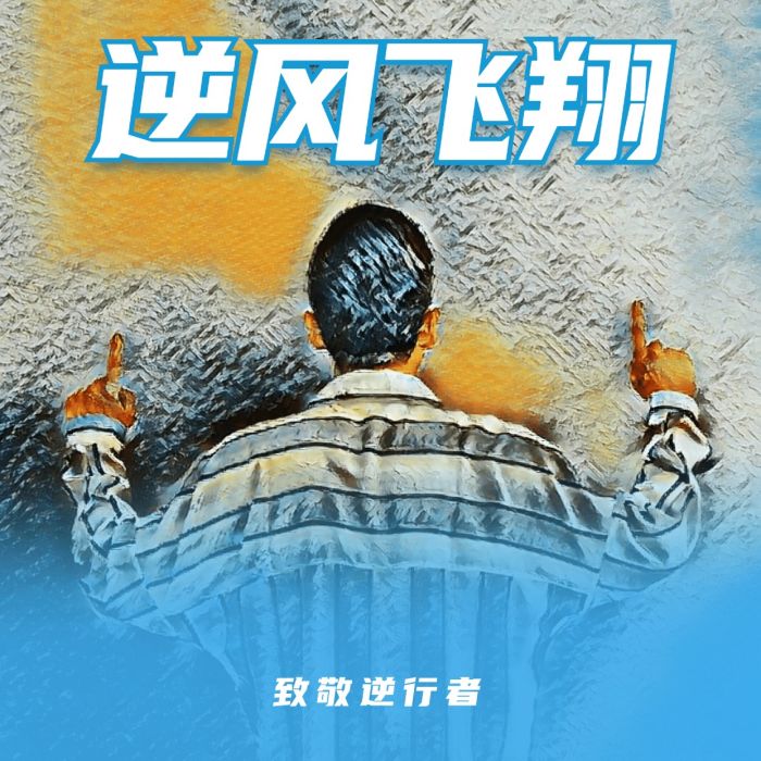 逆風飛翔(歌手樂樂原創音樂作品) 逆風飛翔(歌手樂樂原創音樂作品)
