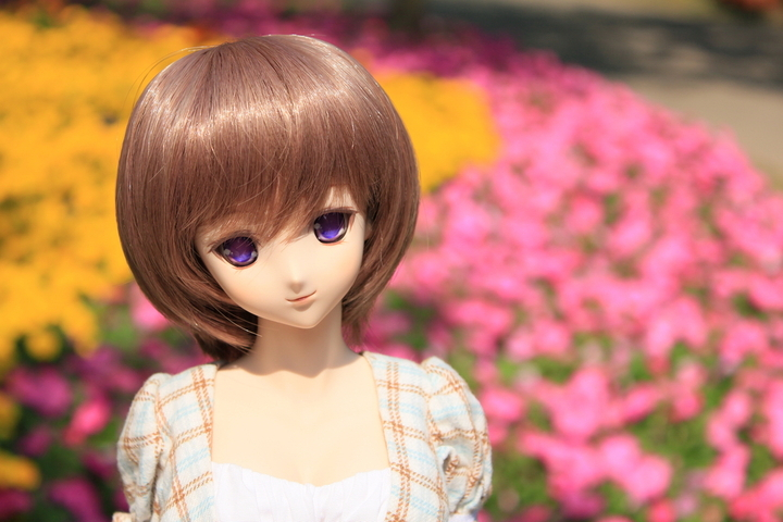 Dollfie Dream Dollfie Dream