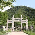 東山貢梨園 東山貢梨園