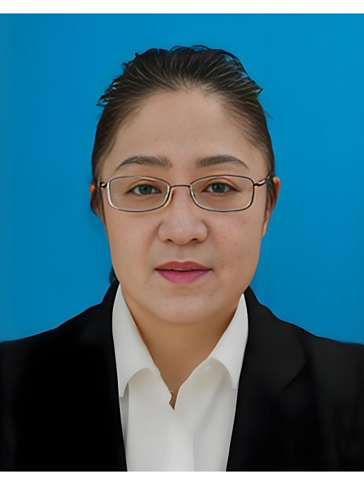 黃智鴻(中國河北北方學院研究員)