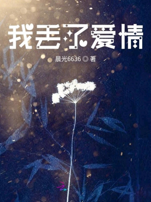 我丟了愛情 我丟了愛情