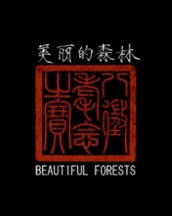 美麗的森林 美麗的森林