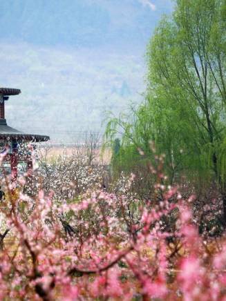 馮海(中國內地影視編劇、導演、製片人) 馮海(中國內地影視編劇、導演、製片人)