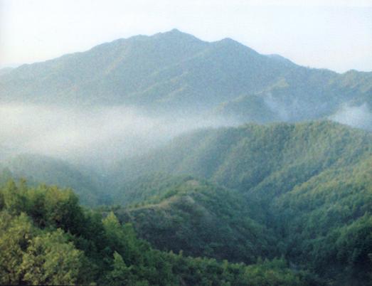 古坡鎮 古坡鎮