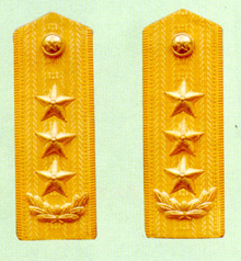 武警上將常服肩章(1995～2007)