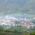 坦山村(湖南省郴州市北湖區萬華岩鎮坦山村) 坦山村(湖南省郴州市北湖區萬華岩鎮坦山村)