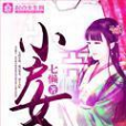 小戶女(七懶所著小說) 小戶女(七懶所著小說)