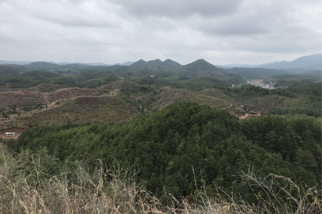 茶坳村 茶坳村