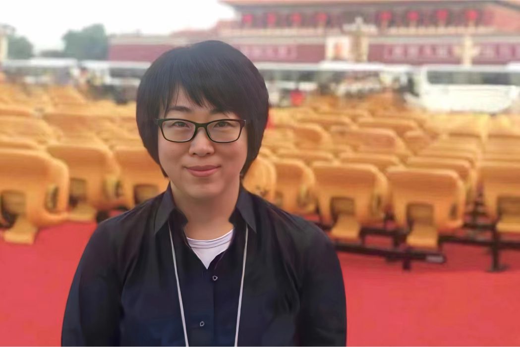 段嶸(導演) 段嶸(導演)