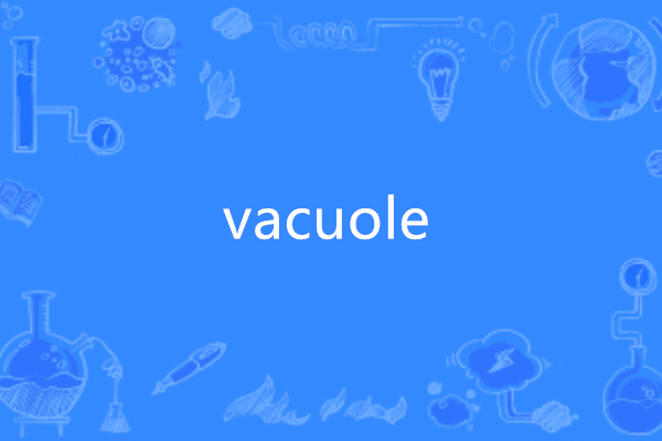 vacuole vacuole