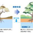 地下水位高 地下水位高