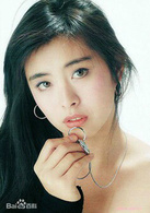 美麗上海(2003年彭小蓮執導電影)