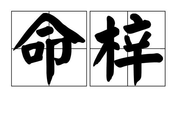 命梓