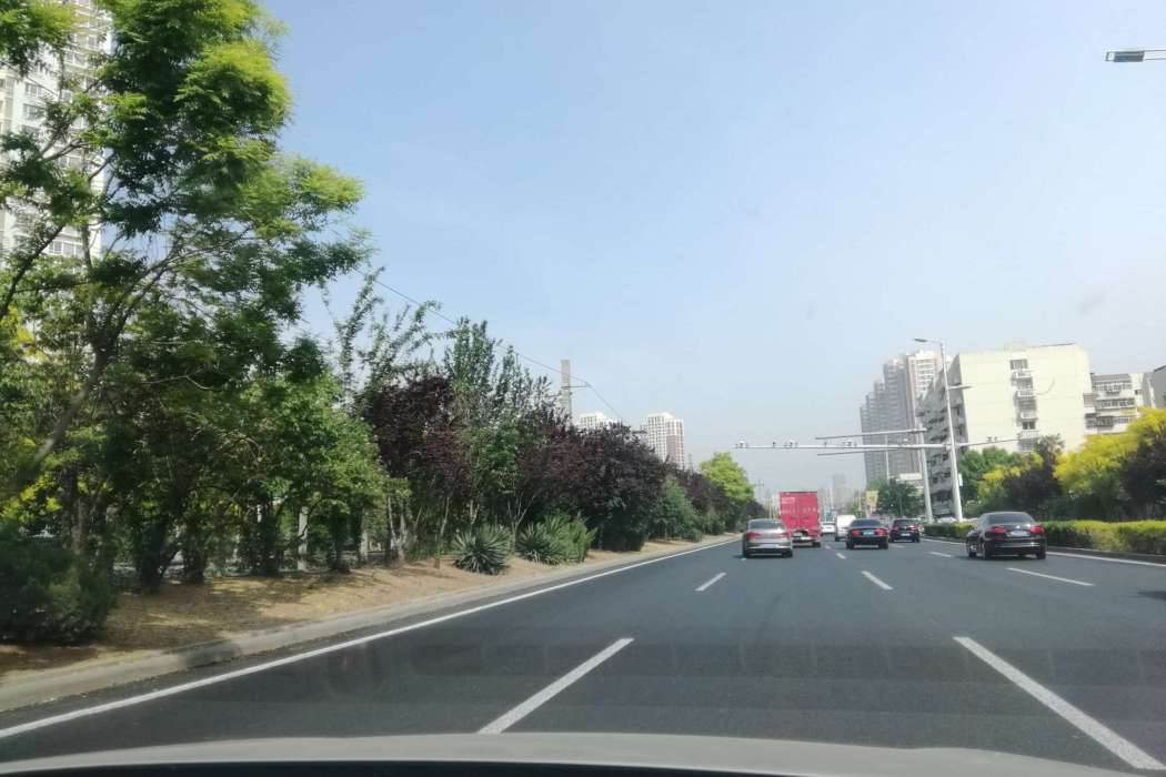 樹莊路