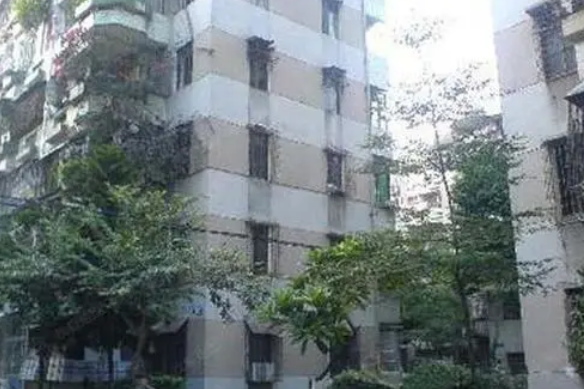 北麗園七街 北麗園七街