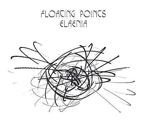 Elaenia
