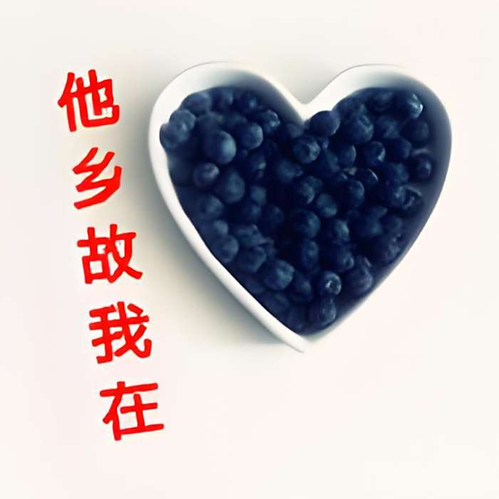若愛依舊 若愛依舊