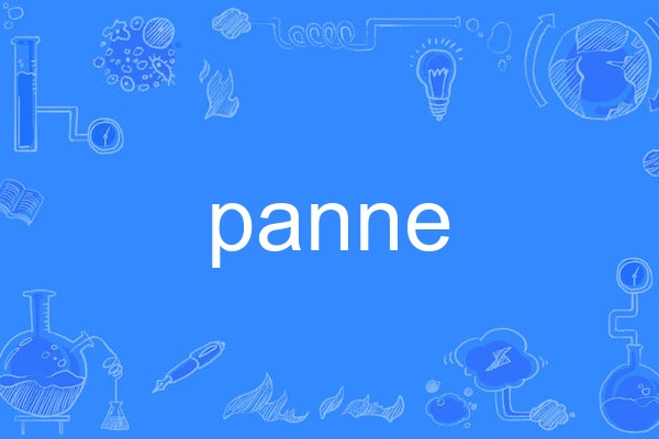 panne panne