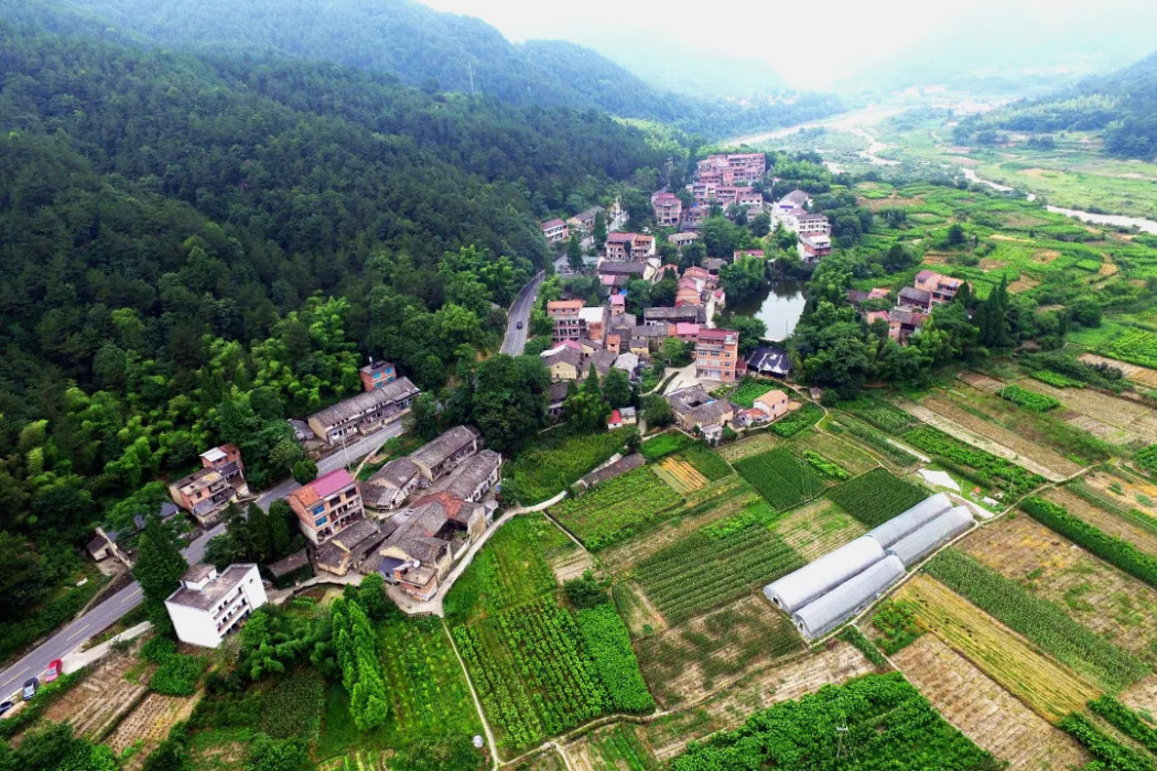 金村村(浙江省麗水市縉雲縣壺鎮鎮下轄村) 金村村(浙江省麗水市縉雲縣壺鎮鎮下轄村)
