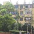 莘建一村 莘建一村