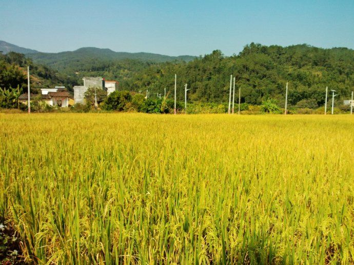 北石明村 北石明村