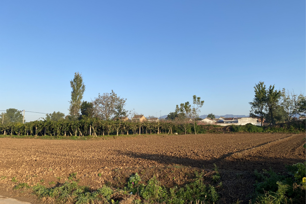 窯白村 窯白村