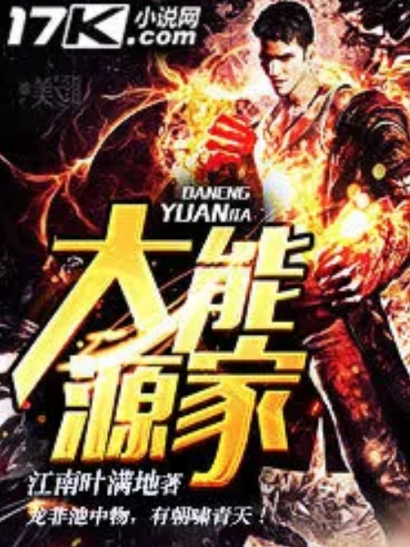 大能源家