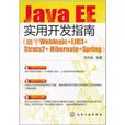 Java EE實用開發指南