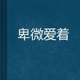卑微愛著 卑微愛著