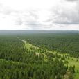 內蒙古紅花爾基樟子松林國家級自然保護區(紅花爾基樟子松林國家級自然保護區)