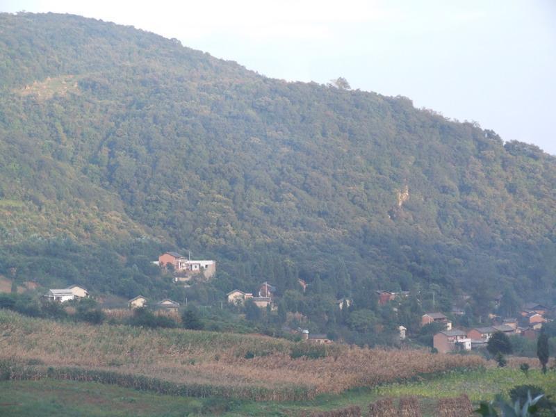 糯斗村 糯斗村