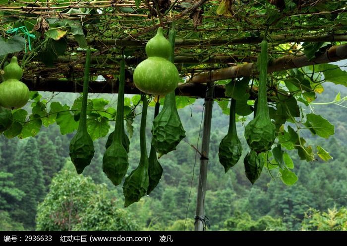 華裕一號 華裕一號