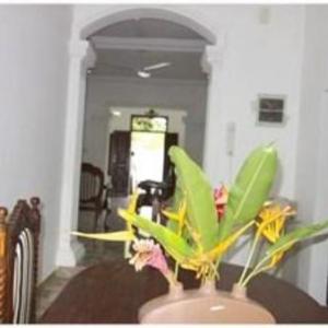 Dinu Villa Dinu Villa