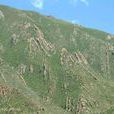 褶皺山 褶皺山